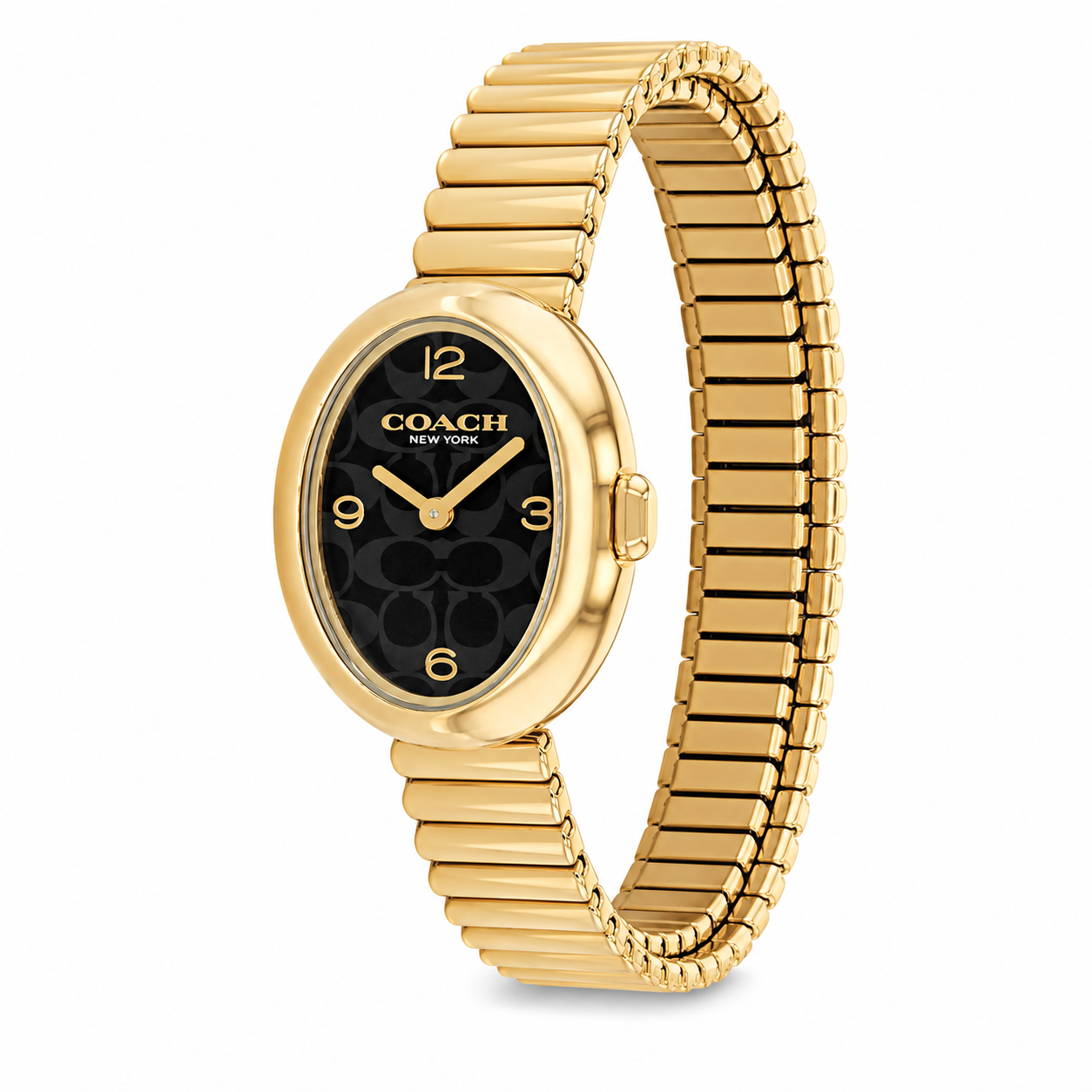 Reloj Coach Sammy Gold Black